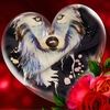 tazlilbuddy